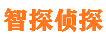 沅江侦探公司